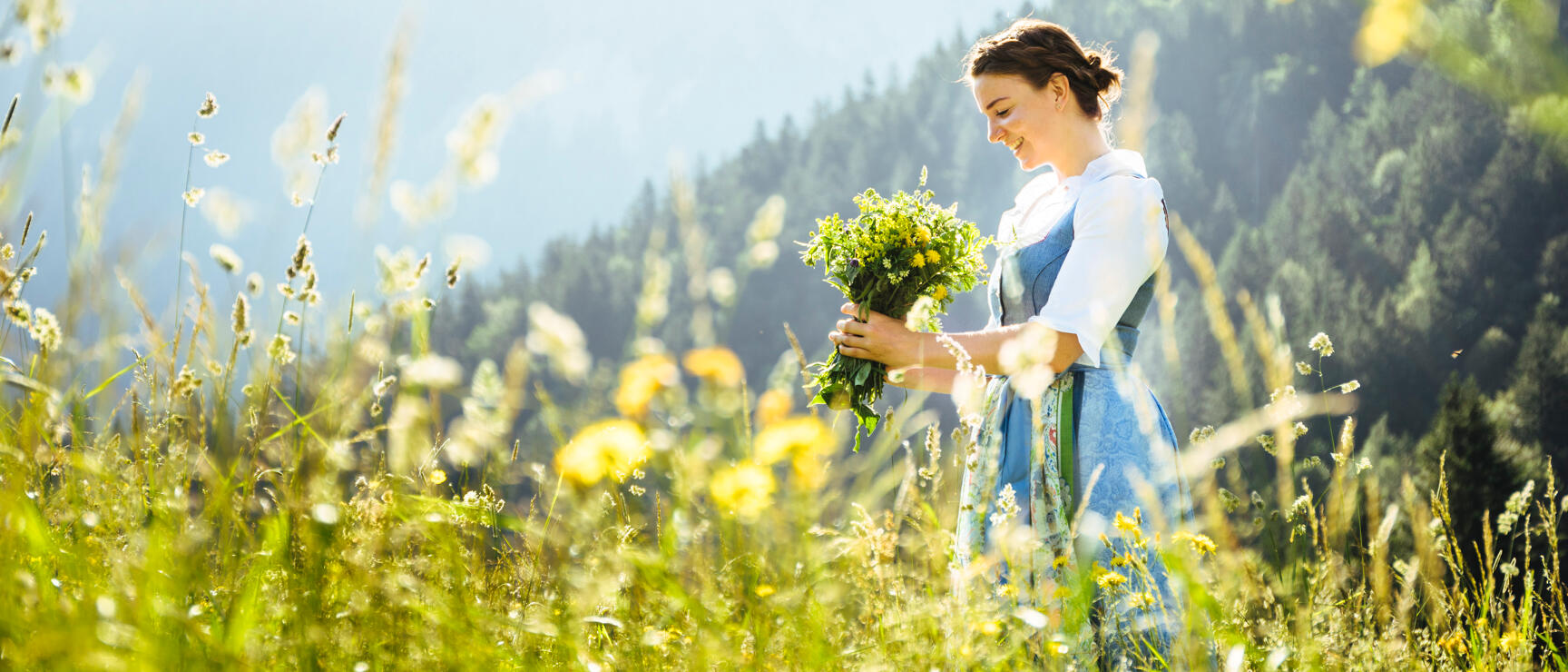 Woman in dirndl holding wildflower bouquet on blooming mountain meadow, coniferous forest in background.