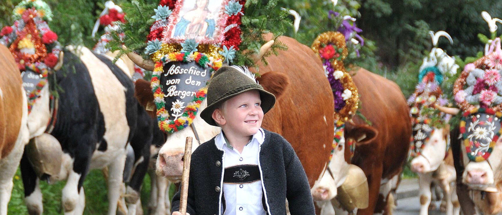 A boy in traditional dress, wearing a hat and carrying a walking stick, during the cattle drive in the Alpbachtal; cows adorned with flower wreaths on a road.