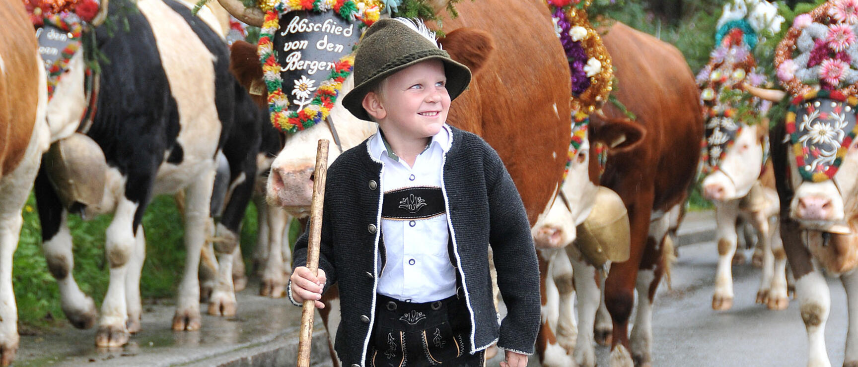 Bub in Tracht mit Hut und Stock beim Almabtrieb im Alpbachtal, geschmückte Kühe mit Blumenkränzen auf einer Straße.