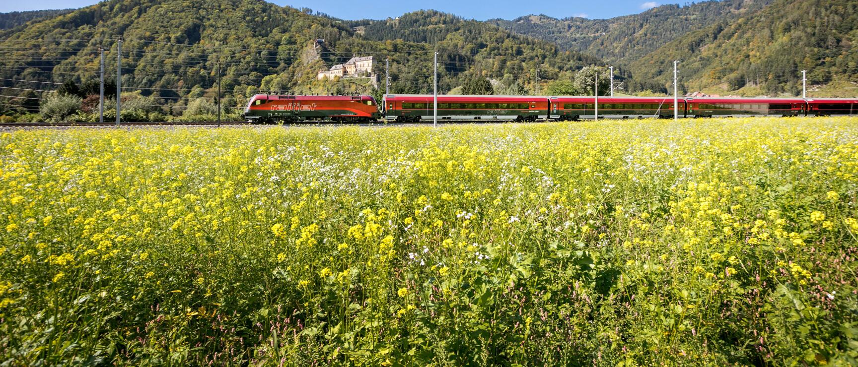 Red Railjet train passing yellow flower field with forested hills and castle in background.