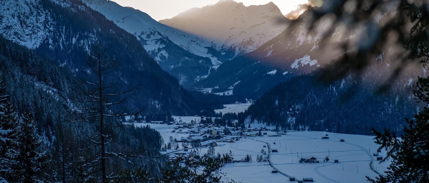 A view of the Lech Valley with a village at dusk, framed by coniferous trees in the foreground.