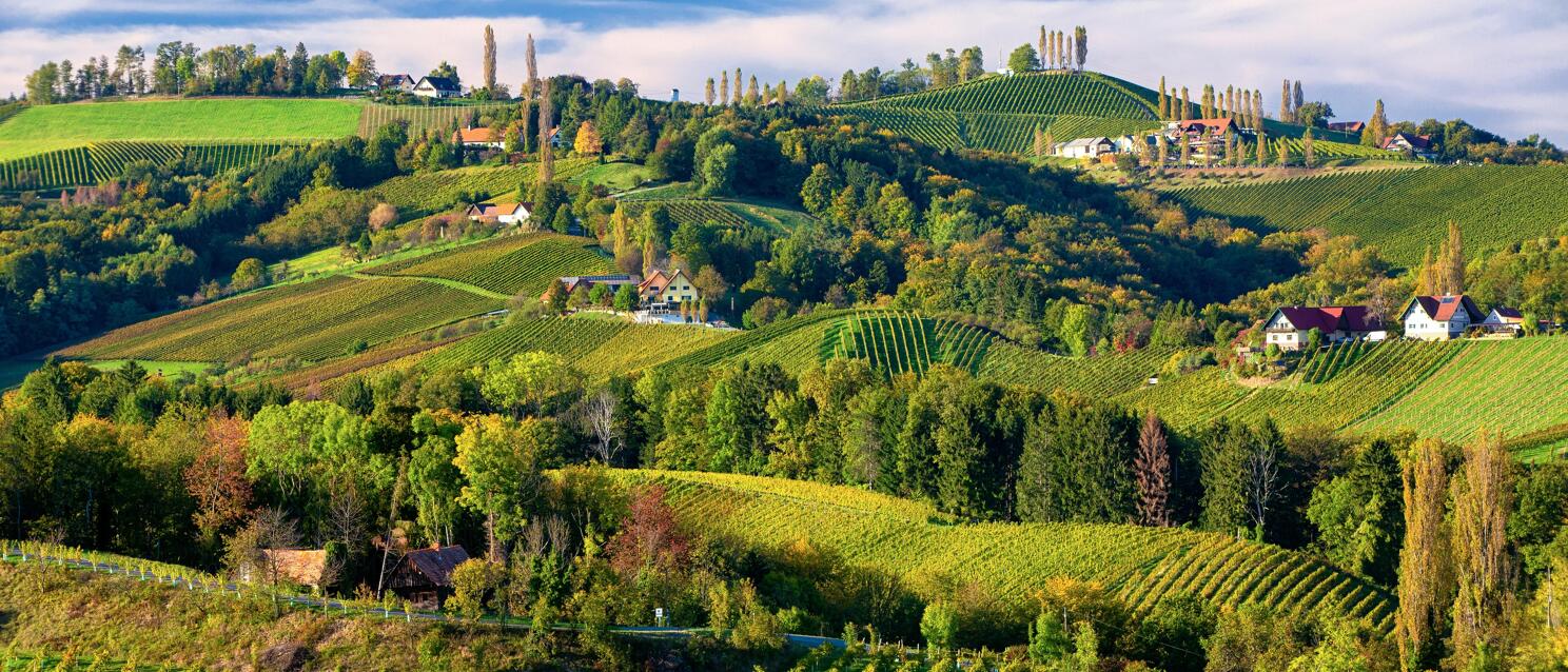 Hügelige Weinberge mit Bauernhäusern und herbstlich gefärbten Bäumen unter blauem Himmel, Südsteiermark.