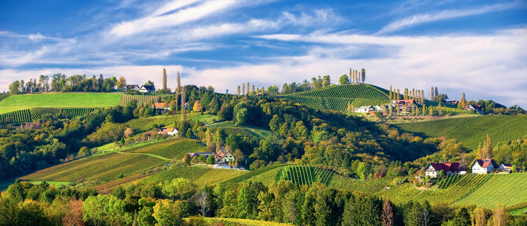 Rolling vineyards with farmhouses and autumn-coloured trees under blue sky, South Styria.