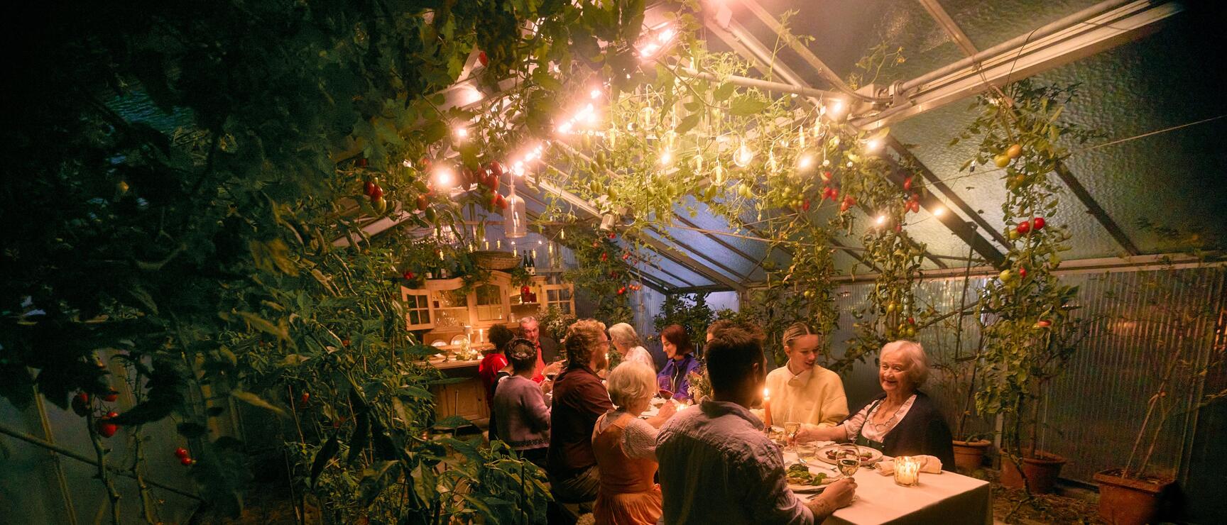 Abendessen in einem Gewächshaus mit Tomatenstauden, Lichterketten und Kerzen, mehrere Personen an langem Tisch.