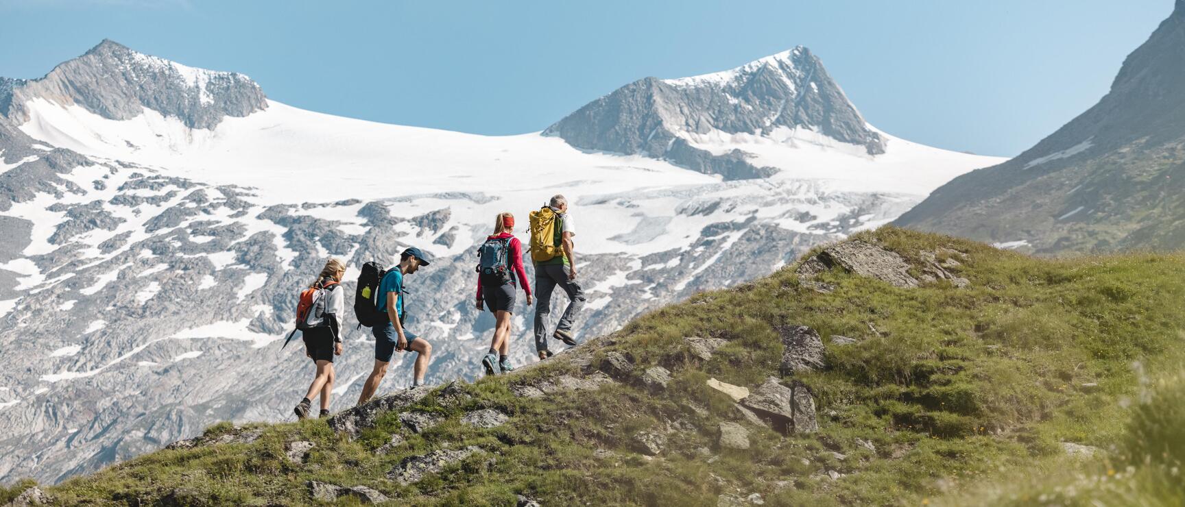 Four hikers with backpacks on a grassy slope, snow-capped peaks and glaciers in the background.