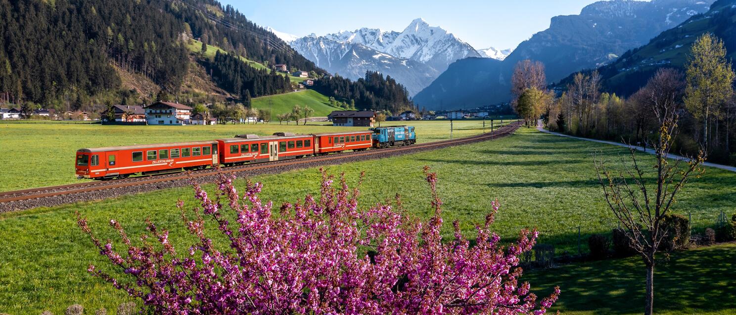 Red Zillertal railway train on green meadow with pink blossom tree in foreground and snow-capped mountains in background.