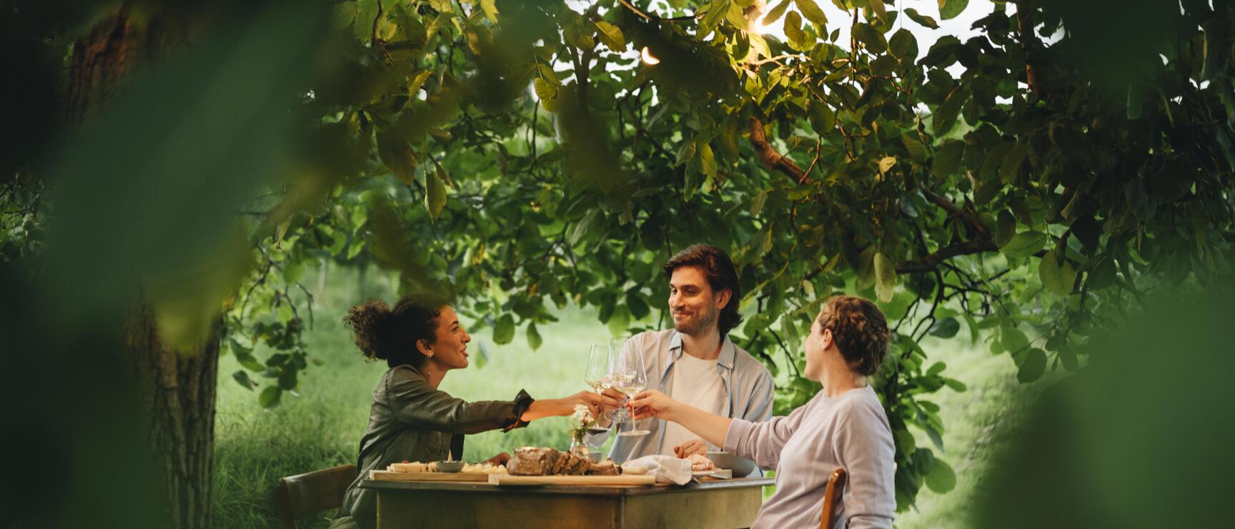 Three people toasting with wine glasses at a set table under a tree outdoors.