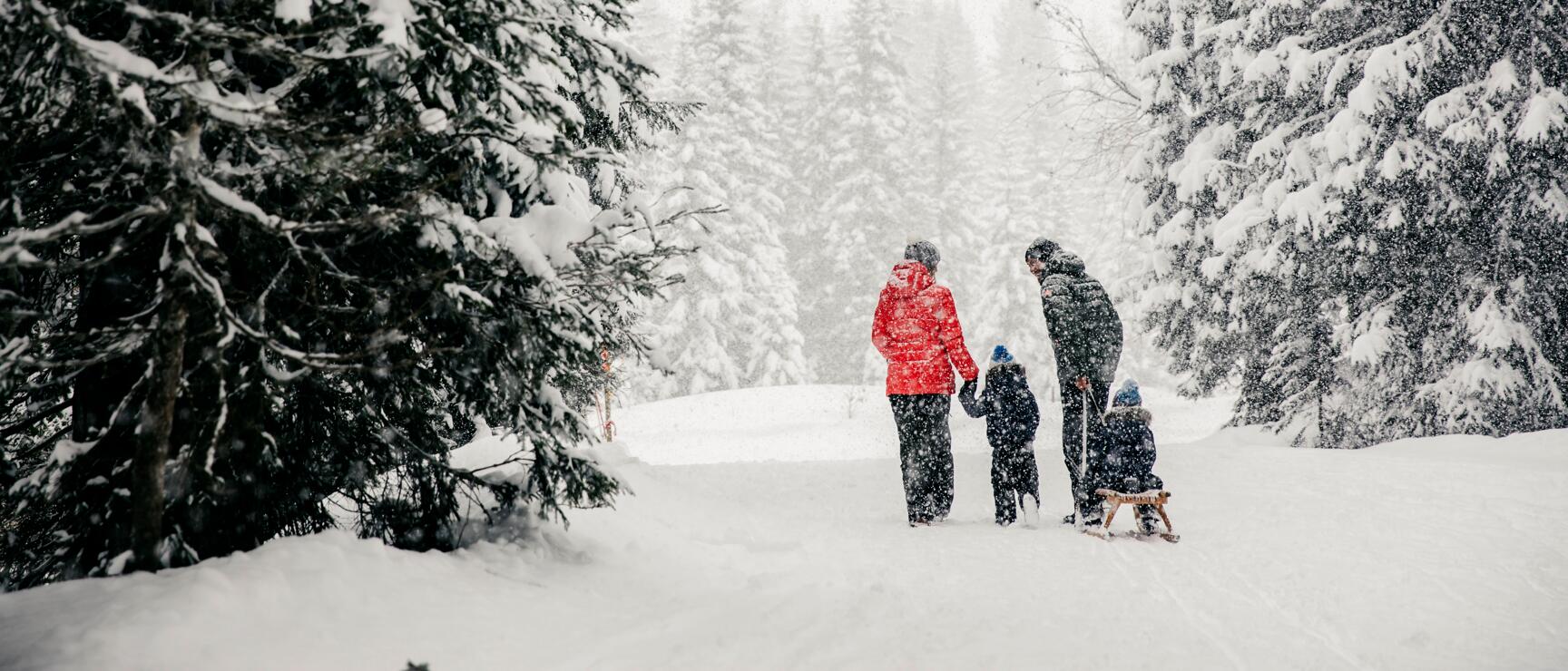 A family on a winter hike in Lech-Zürs: the father is pulling a child on a sled, the mother is walking hand-in-hand with their second child, and snow-covered coniferous trees surround them