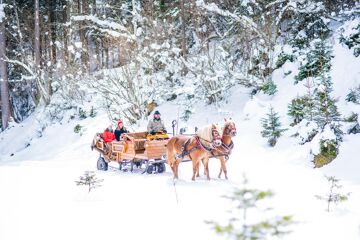 Pferdeschlittenfahrt mit Winterlandschaft