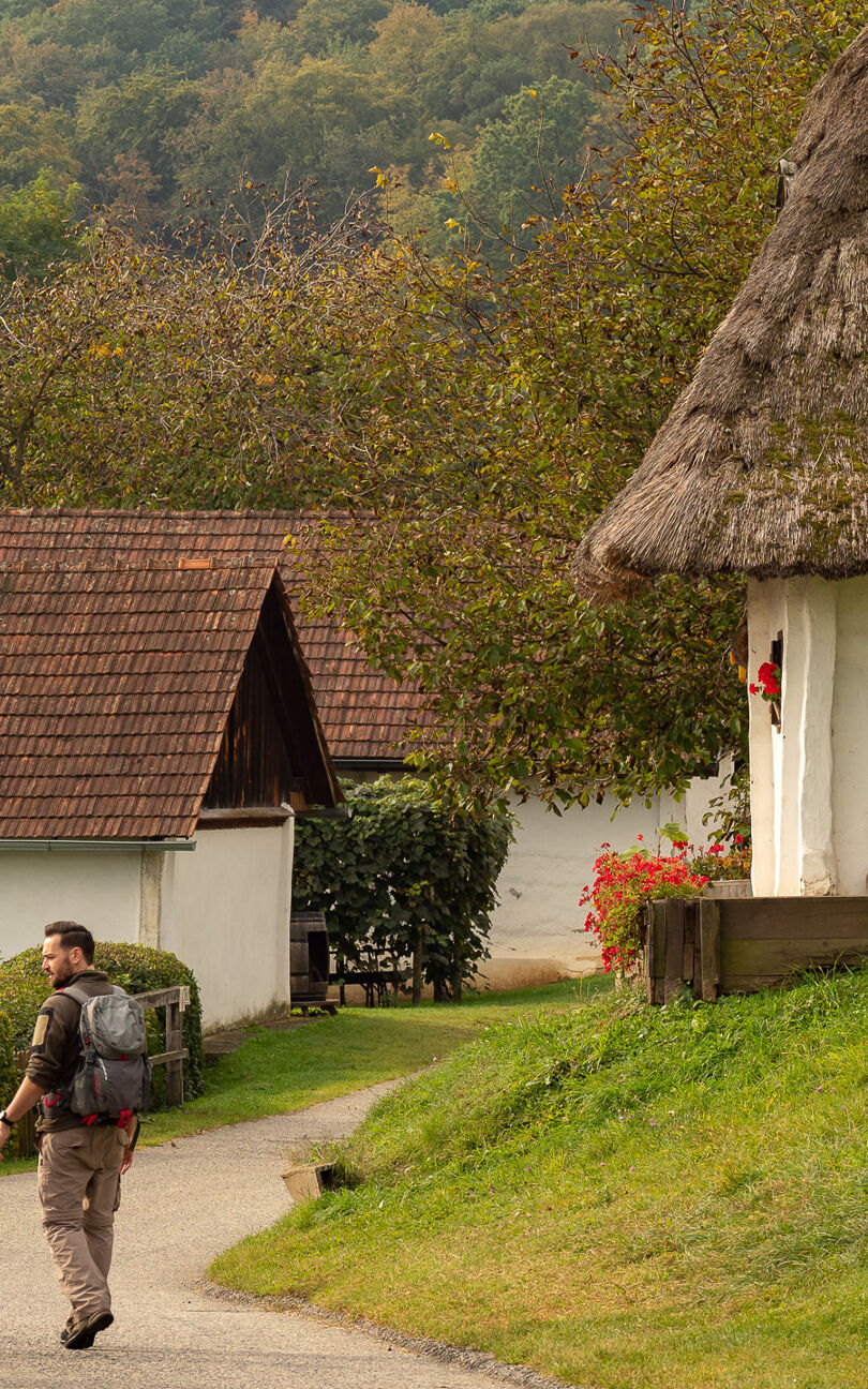 On the Amber Trail through the Heiligenbrunn Cellar District