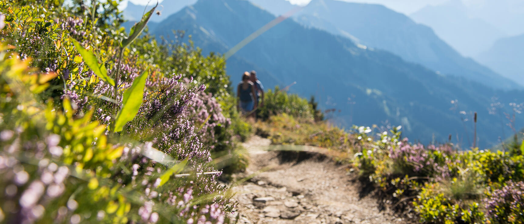 Bergwandern im Großen Walsertal
