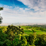 Vedere de pe dealul Kahlenberg asupra Vienei