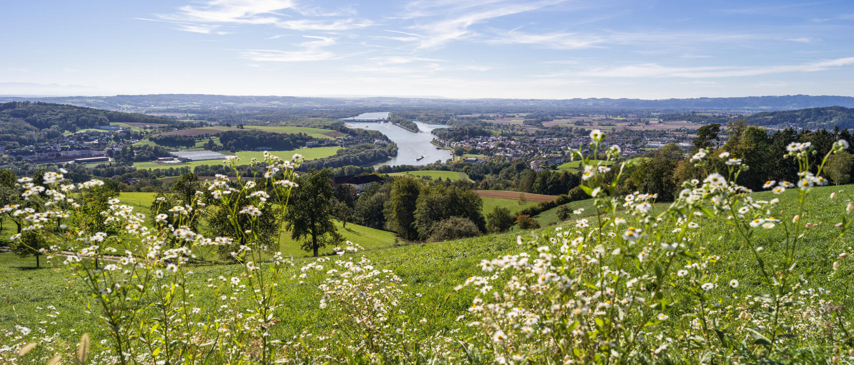 View from the Mühlviertel to the Danube