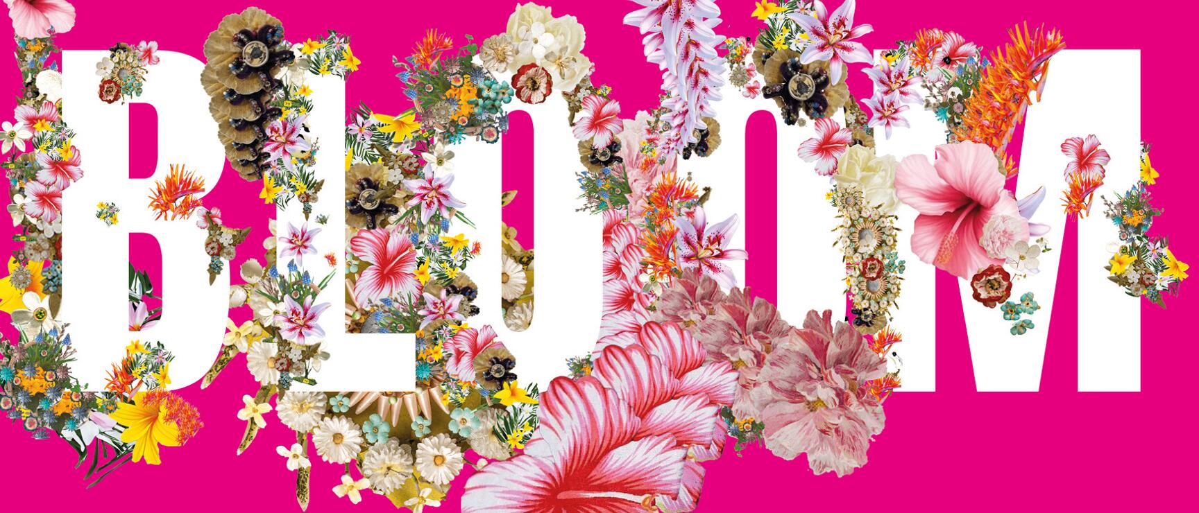BLOOM text on pink background with letters filled with colourful flower collages.