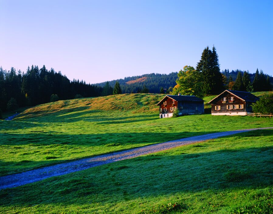 Bödele, Bregenzerwald