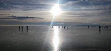 Eislaufen am Neusiedlersee