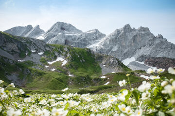 Erlebnisraum Rätikon, Alpenmosaik Montafon