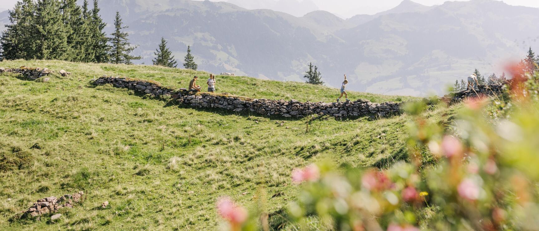 People and child at a dry stone wall on green alpine meadow with mountain panorama in background.
