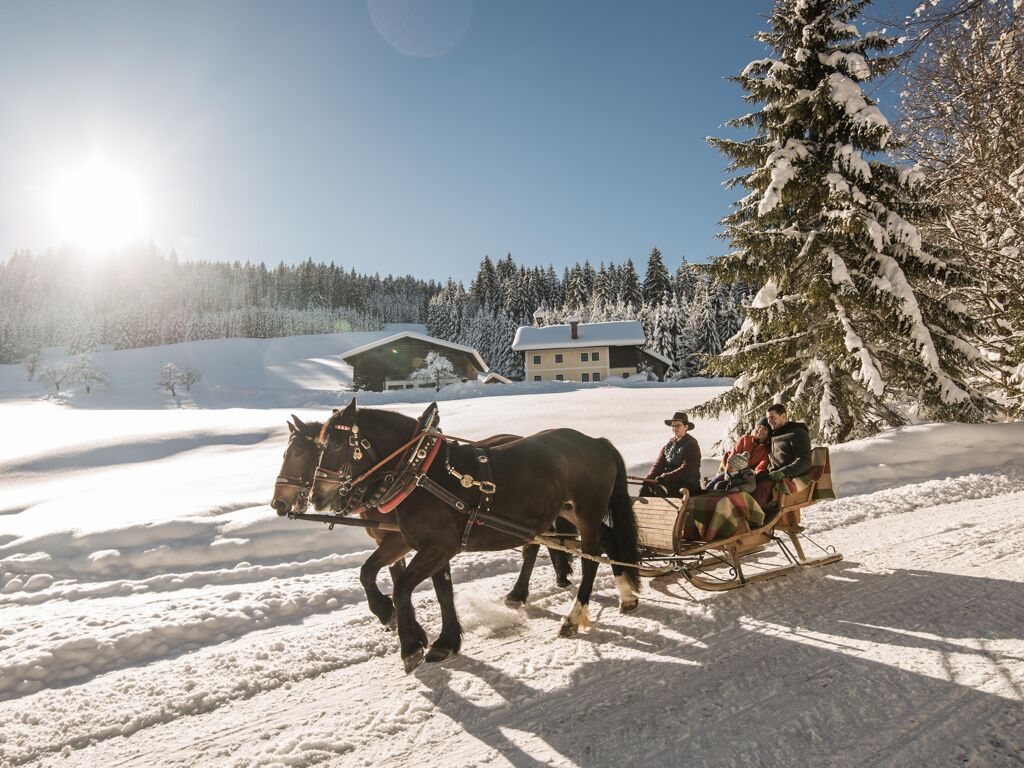 Familie beim Pferdeschlittenfahren