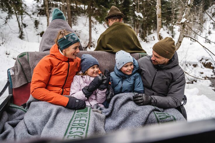 Family in winter, horse-drawn sleigh