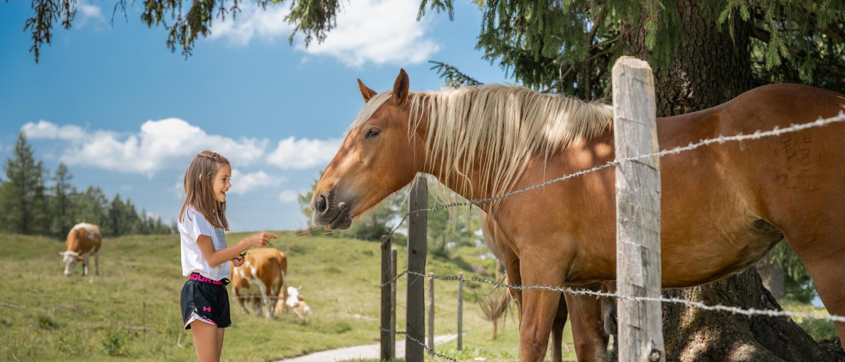 Geisterberg Erlebnisberg für Kinder in St. Johann in Salzburg