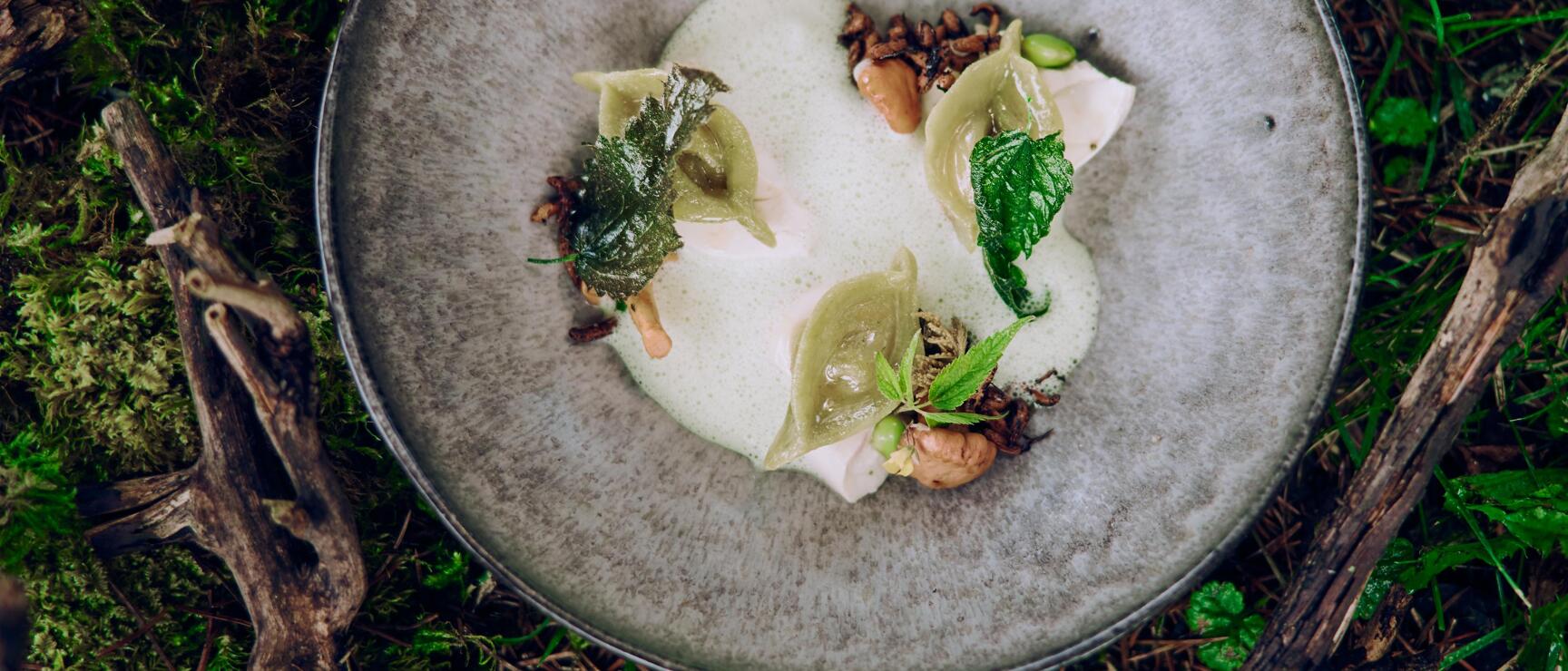 Grey plate with green dumplings, herbs and foam, placed on moss and branches in the forest.