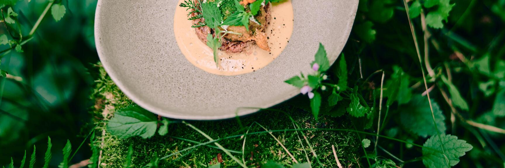 Gray ceramic plate with herb-garnished dish, sauce and edible flowers on moss-covered forest floor among wild plants.