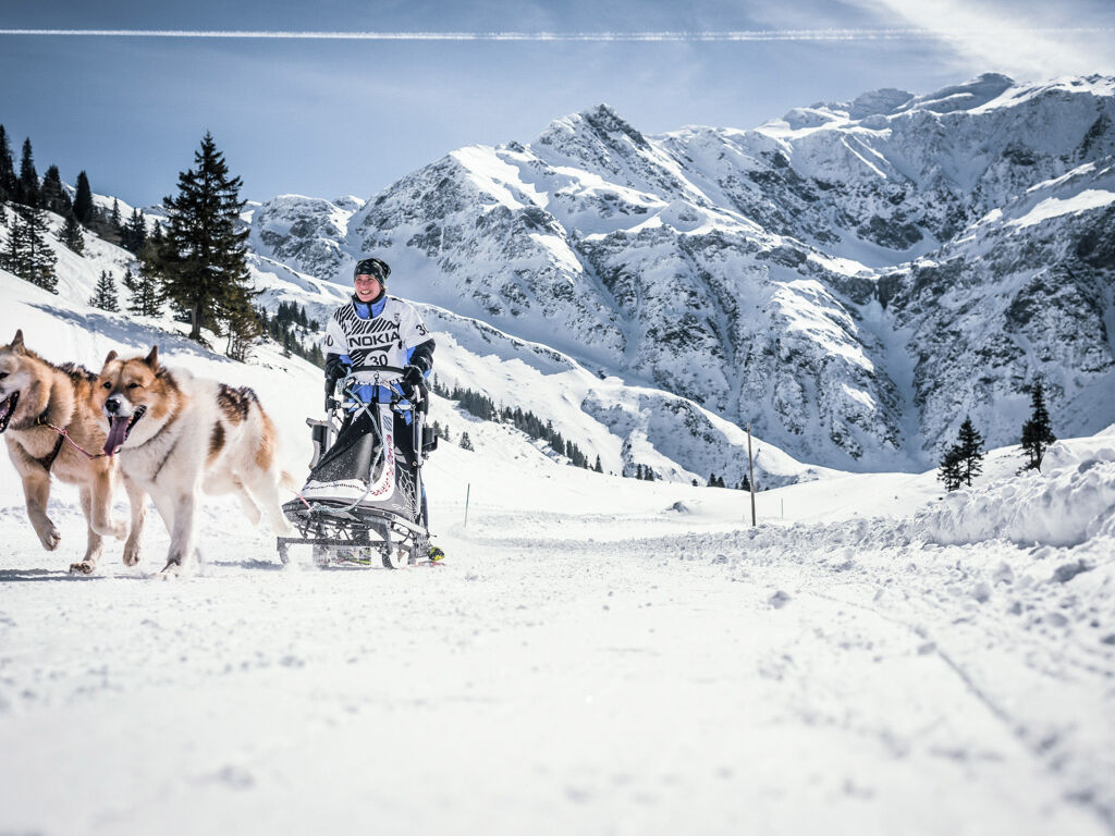 Psie zaprzęgi w Sportgastein