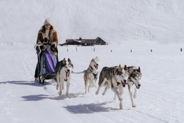 Husky sleigh tour in Sportgastein