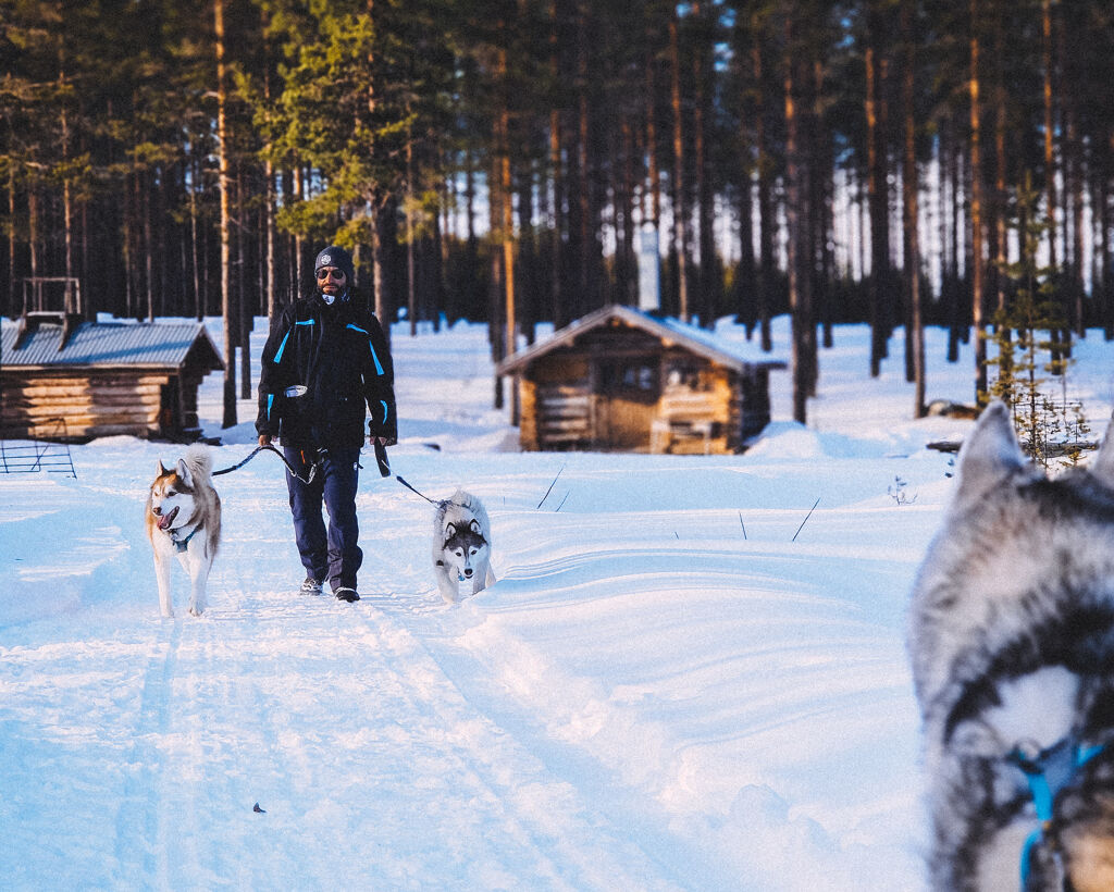 Huskywanderung