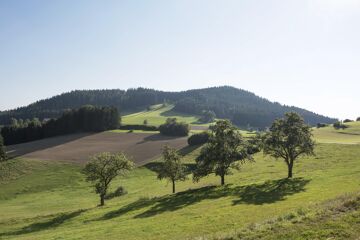 Sanfte Hügellandschaft