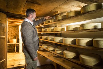 Dairy cellar of the Stutzalpe