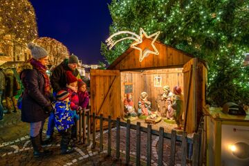 Nativity scene underneath a christmas tree in the old town of Eisenstadt