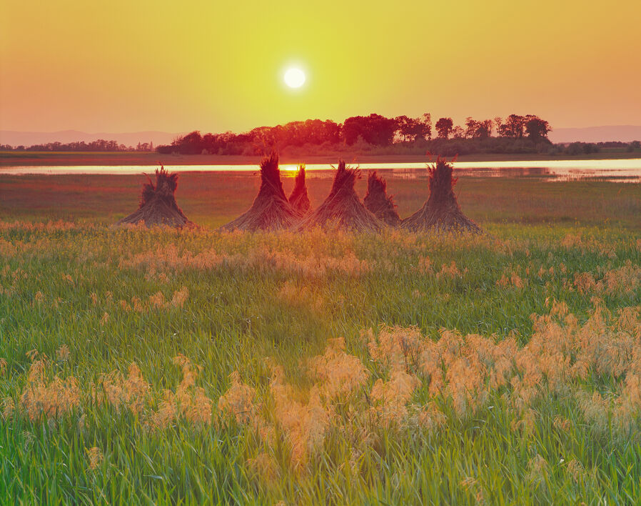 Landscape near Apetlon / Nationalpark Neusiedler See / Burgenland