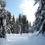 Langlaufen, Osttirol