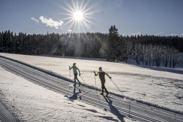 Cross-country skiing at Sonnenplateau Ramsau am Dachstein - Forest Trail