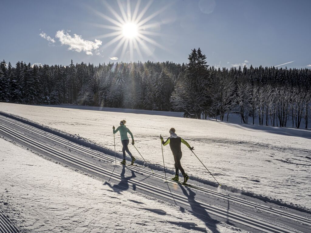 Langlaufen Sonnenplateau Ramsau am Dachstein - Waldloipe