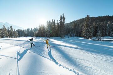 Langlaufen in der Region Seefeld Skating im Wildmoos