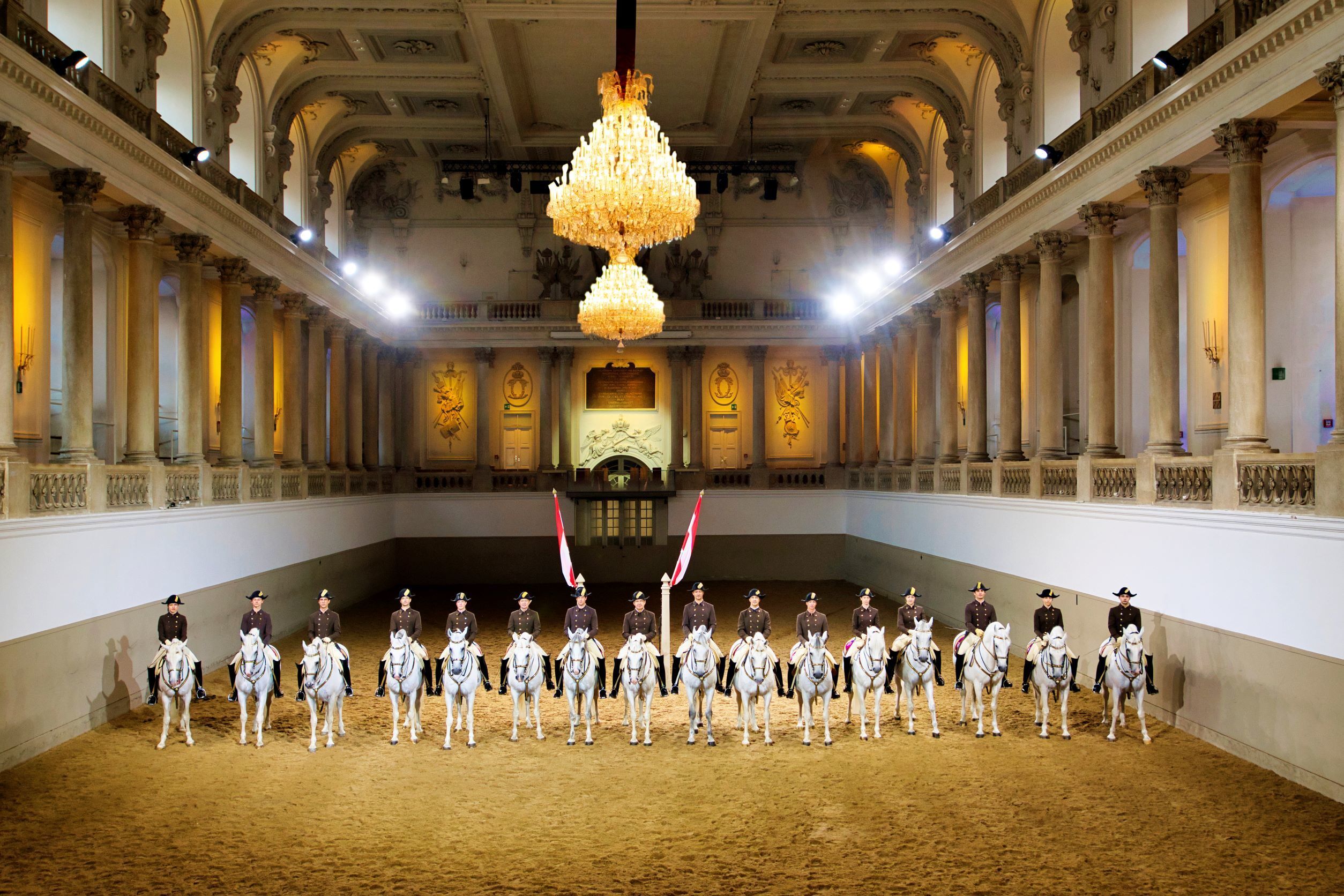 Lipizzaner, line-up, Spanish Riding School Vienna