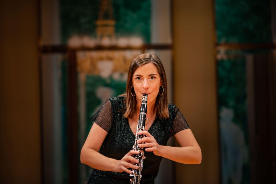 Musikerin in Schloss Esterhazy, Haydnsaal