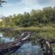 Nationalpark Donau Auen