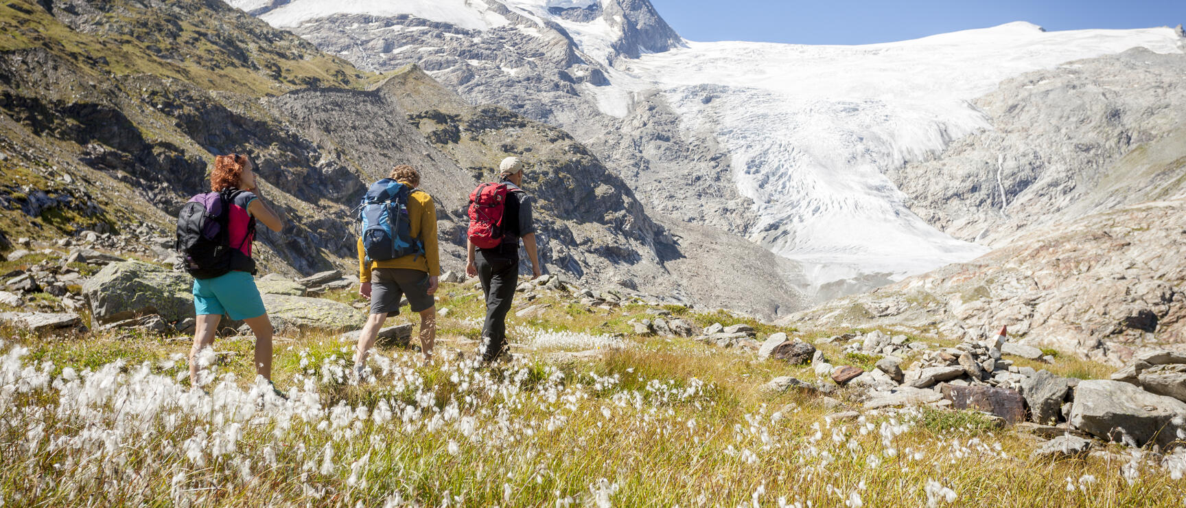 Drei Wanderer mit Rucksäcken auf einer Almwiese mit Wollgras, Gletscher und schneebedeckte Gipfel im Hintergrund.