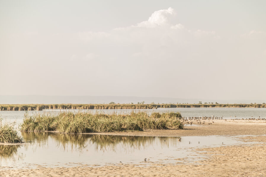 Nationalpark Neusiedler See - Seewinkel