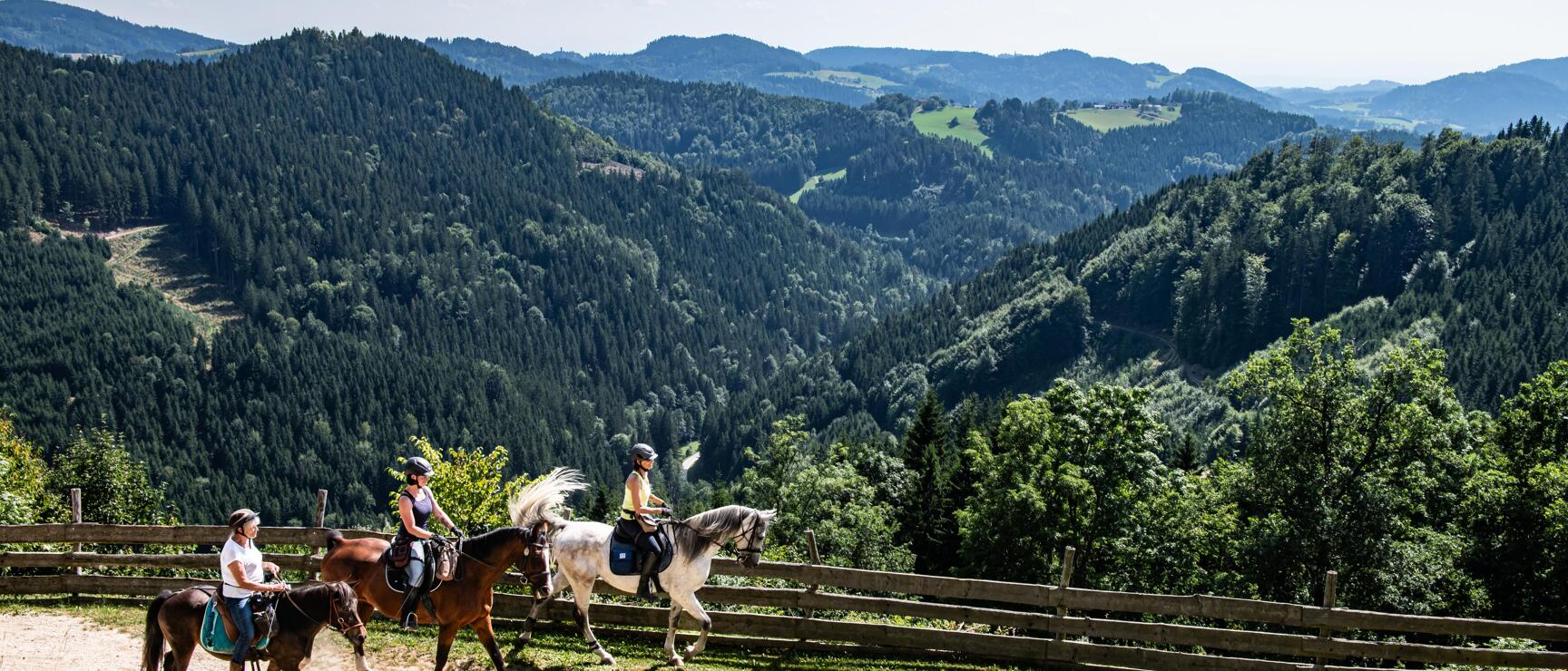 Three female riders on horses along a wooden fence, forested hilly landscape in the background.