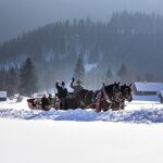 Zaprzęgi konne / TVB Ausseerland Salzkammergut / Tom Lamm