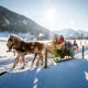 Pferdeschlittenfahrt in der Region Murau
