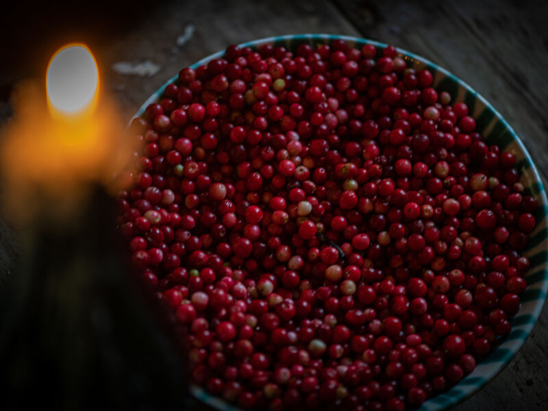 Preiselbeeren Ötztal // Granten