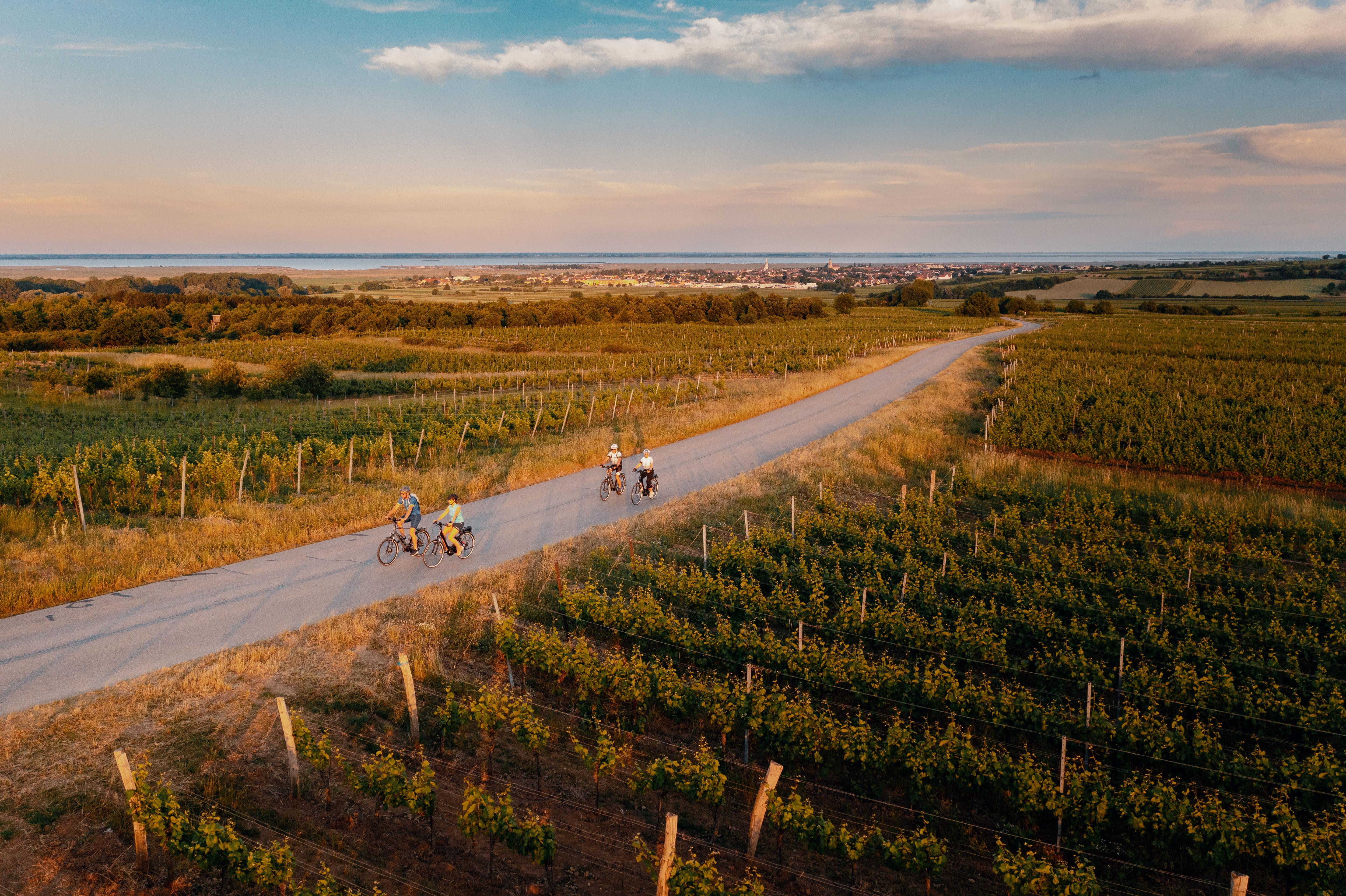 Radfahren in Rust am Neusiedlersee