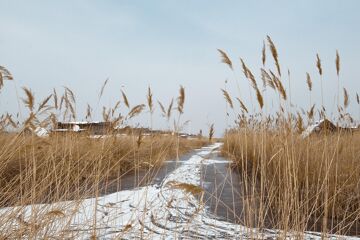 Rust am Neusiedlersee im Burgenland