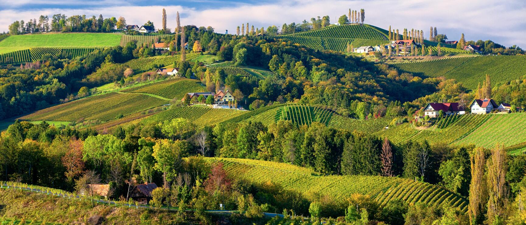Southern Styria Wine Road